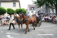 IMG_6476 (2) 